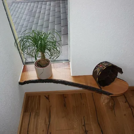 Schmiedsipplhof * غوساو