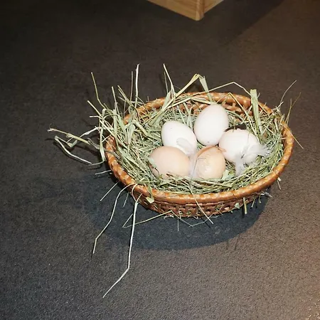 Apartman Schmiedsipplhof