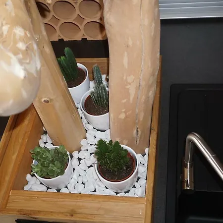 Schmiedsipplhof غوساو