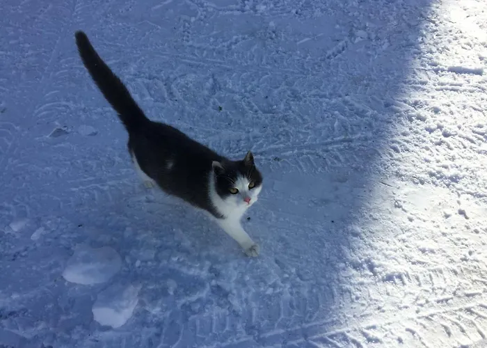 Schmiedsipplhof شقة