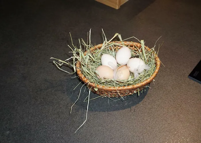 Daire Schmiedsipplhof