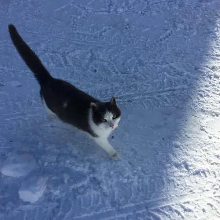 Schmiedsipplhof Διαμέρισμα